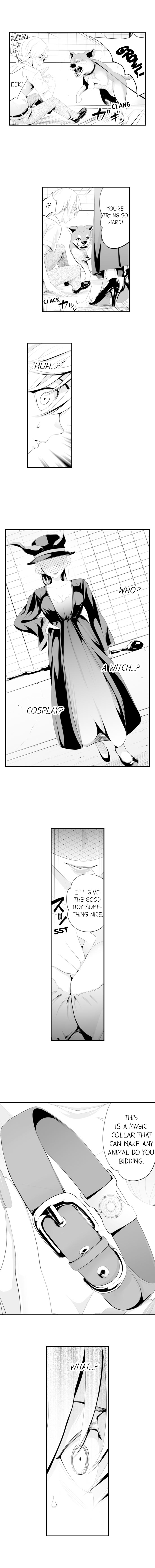 The Collar of Submission Chapter 1 - Page 4