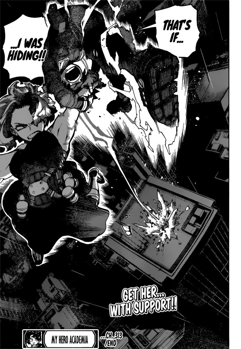 My Hero Academia Chapter 313 - Page 17