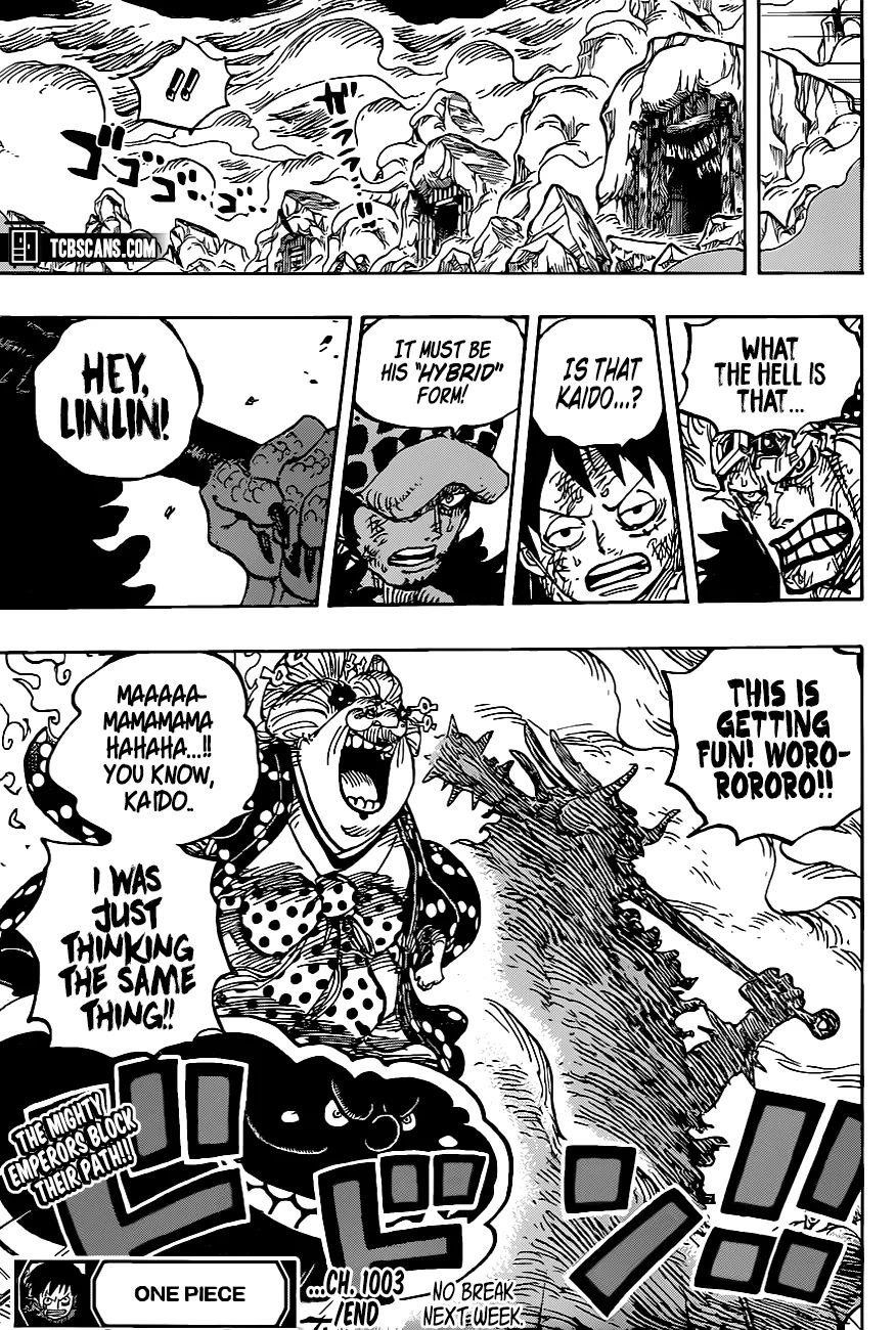 One Piece Chapter 1003 - Page 13