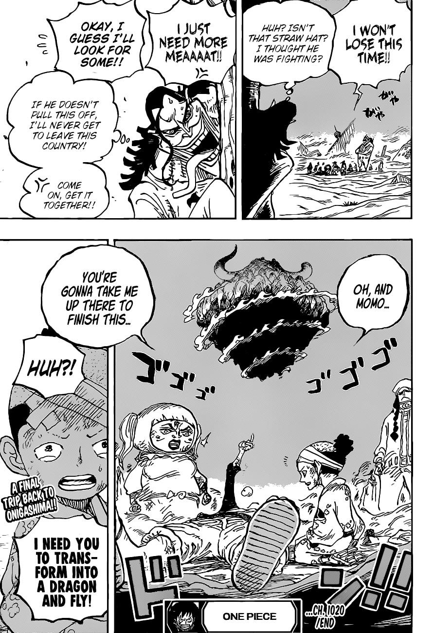 One Piece Chapter 1020 - Page 17