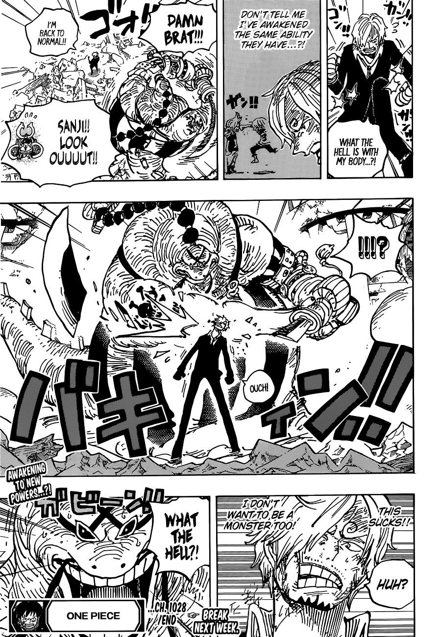 One Piece Chapter 1028 - Page 17