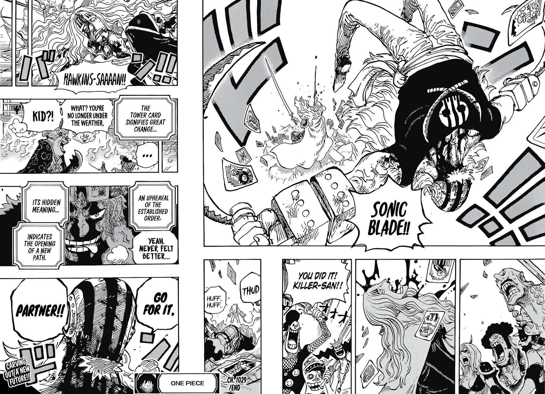 One Piece Chapter 1029 - Page 14