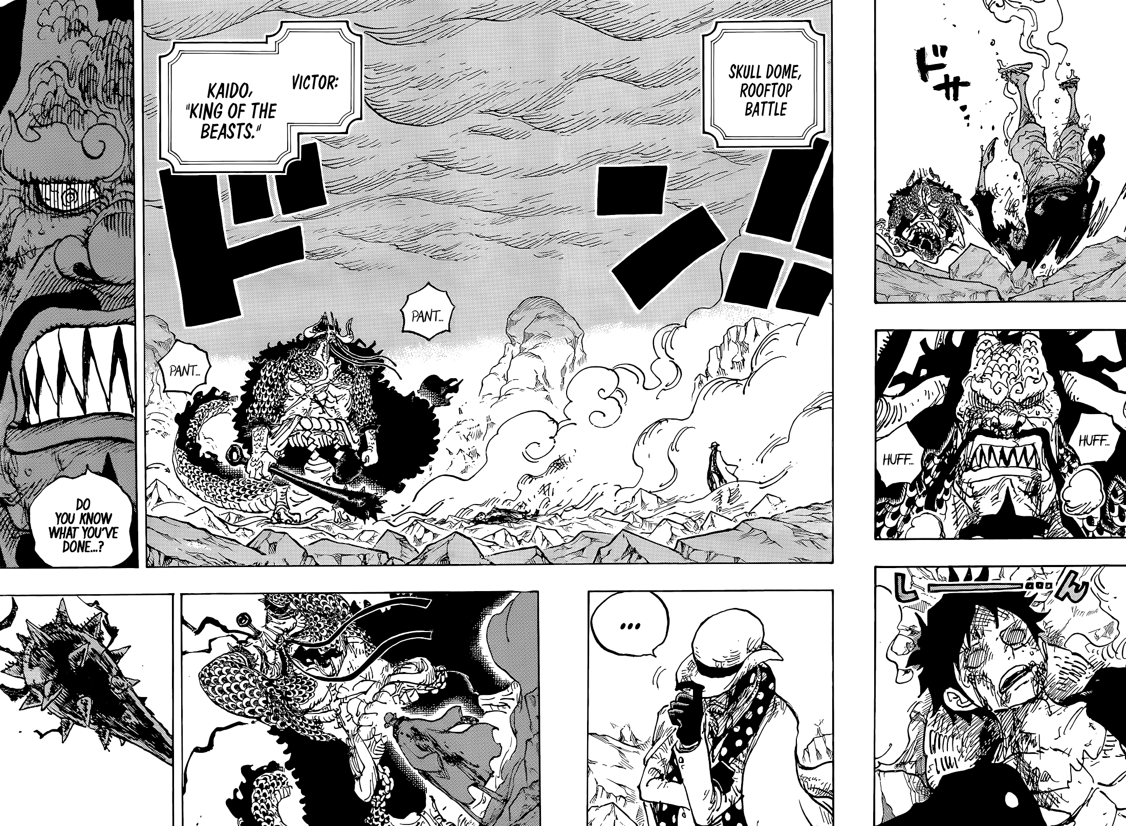 One Piece Chapter 1043 - Page 4