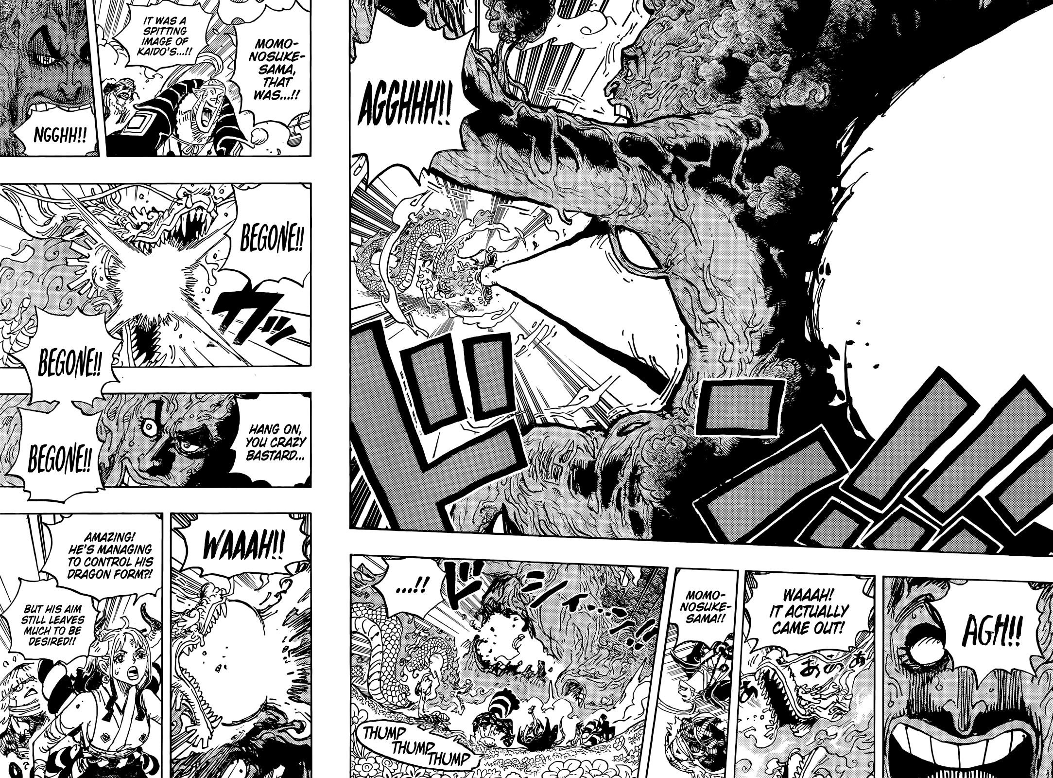 One Piece Chapter 1055 - Page 14