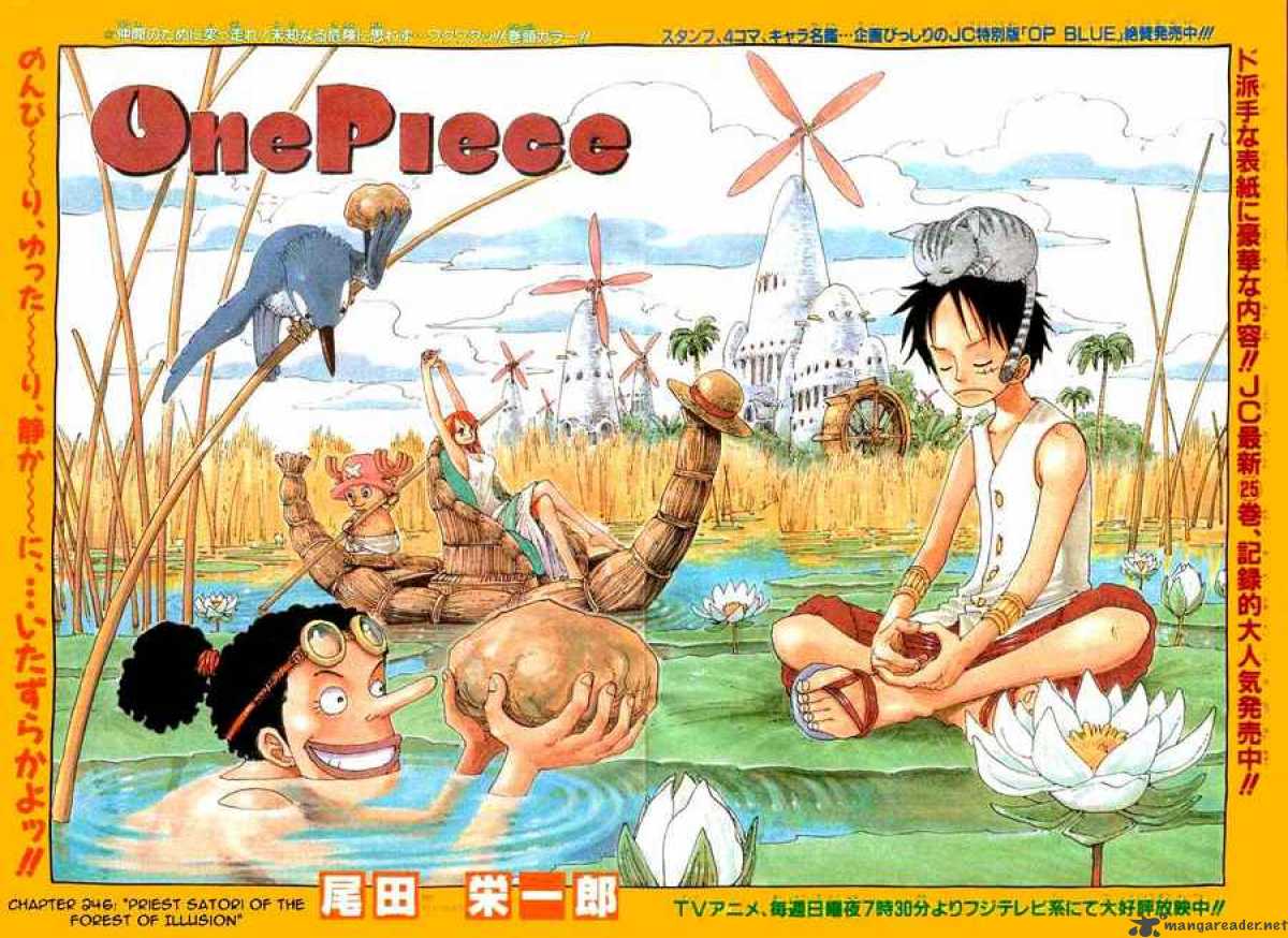 One Piece Chapter 246 - Page 1