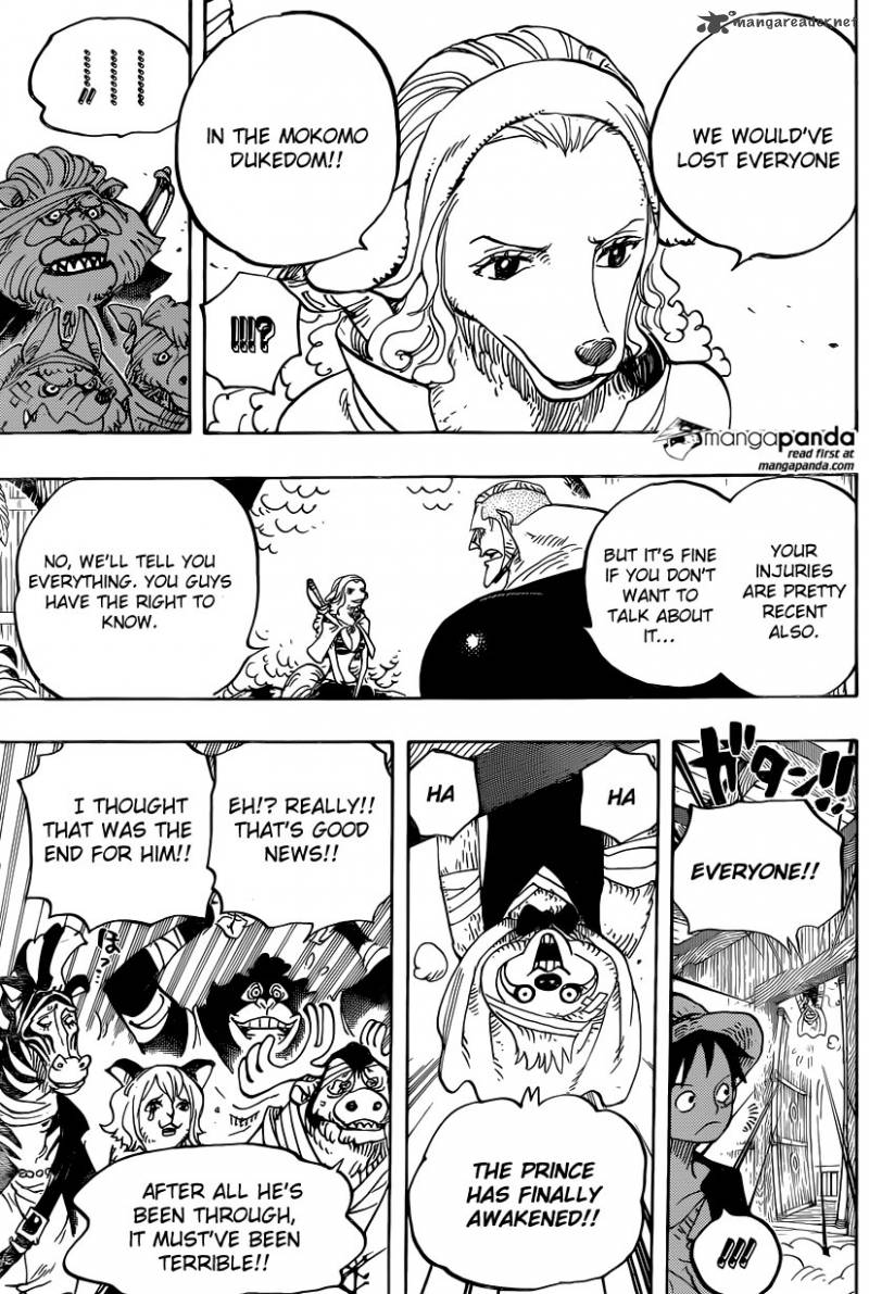 One Piece Chapter 807 - Page 12