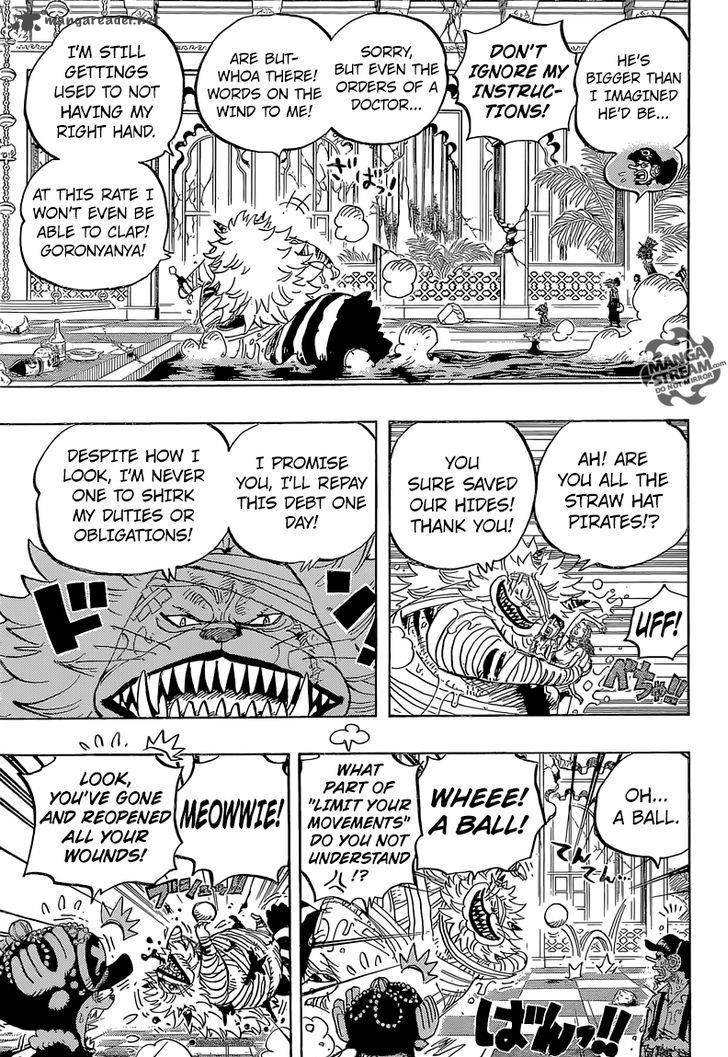 One Piece Chapter 814 - Page 16