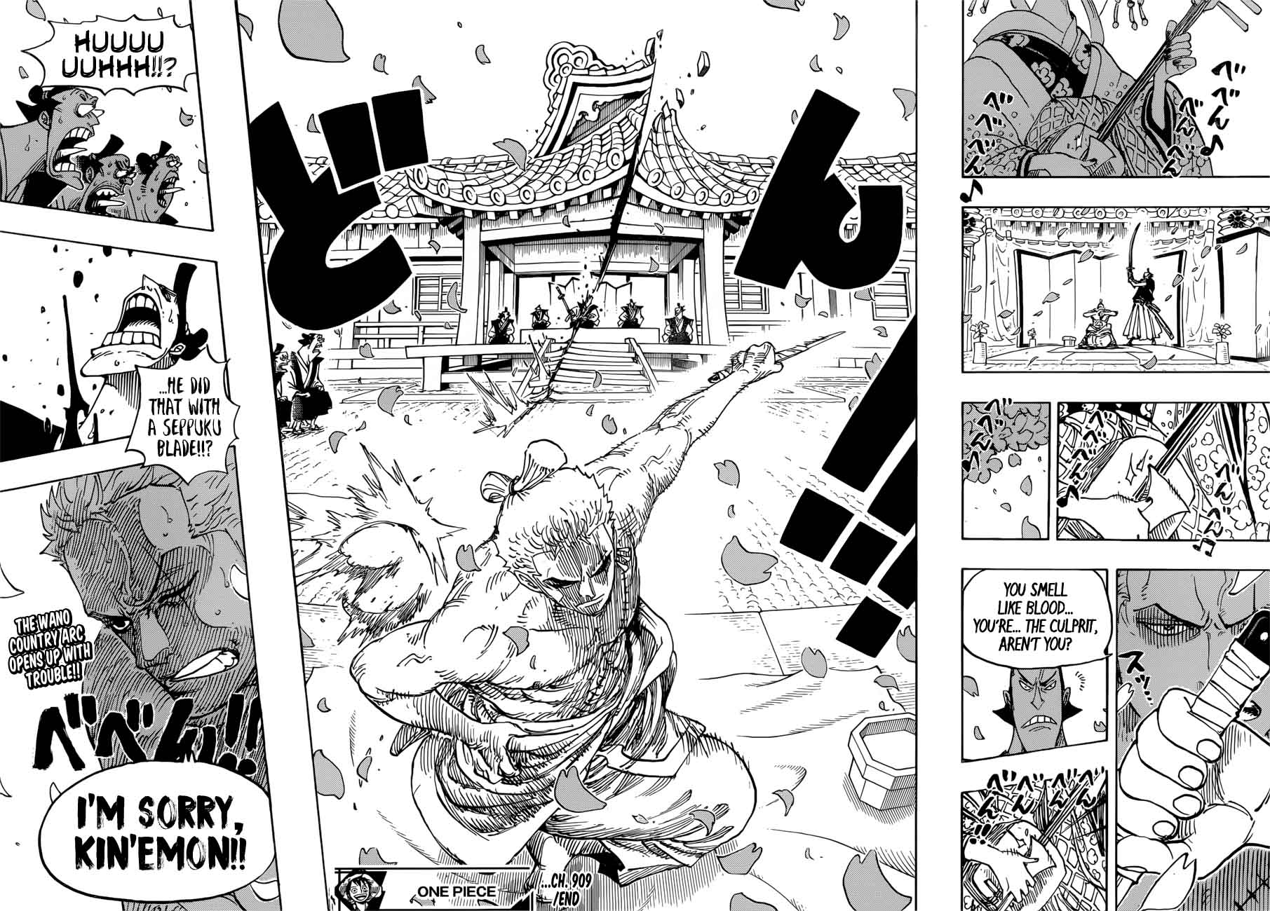 One Piece Chapter 909 - Page 15