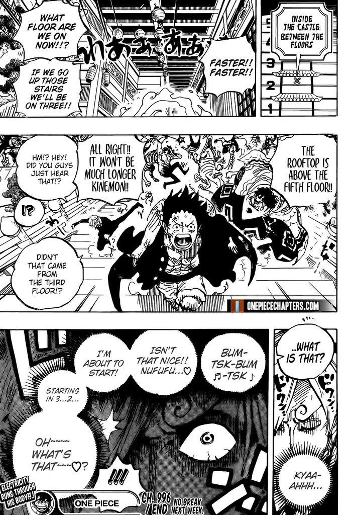 One Piece Chapter 996 - Page 17