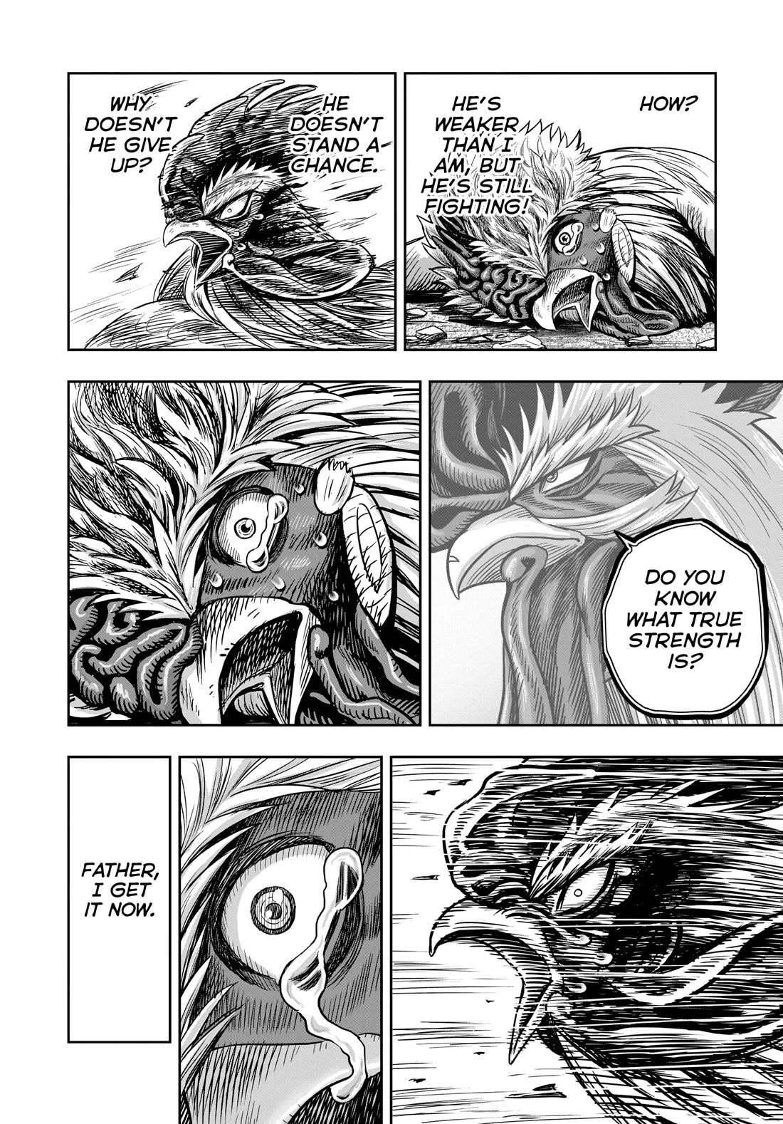 Rooster Fighter Chapter 27 - Page 42